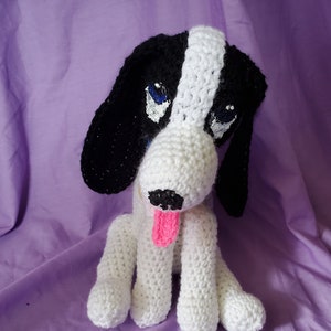 black and white puppy