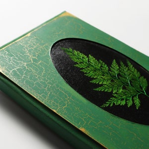 May include: A green journal with a distressed finish and gold accents. The cover features an oval-shaped cutout with a pressed fern inside.