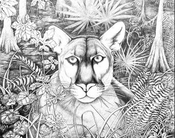 Florida Panther Art Print, Everglades, Florida Cat, Original Art, Black And White Wall Art