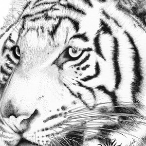 Tiger Wall Art, Tiger Painting, Cat Lover Gift, Tiger Art Print, Tiger Drawing