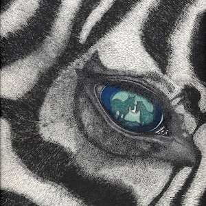 Zebra Art Print, Zebra Wall Art, Original Art, Zebra Decor