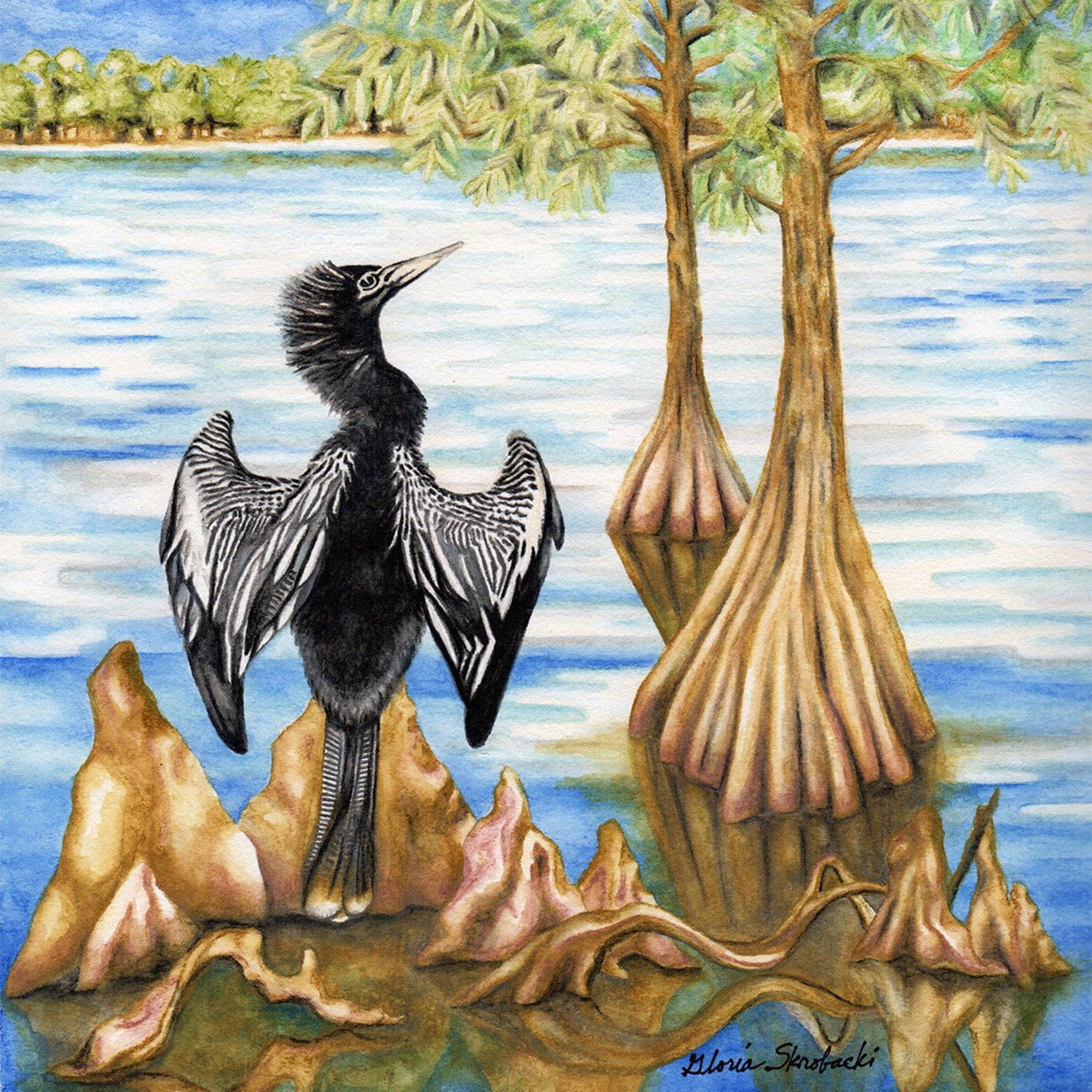 Anhinga, Bird Prints, Round or Square Coasters, Original Bird Artwork ...