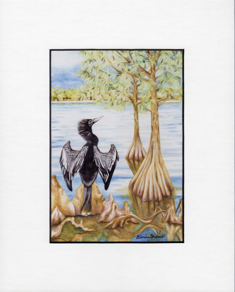 Anhinga, Bird Prints, Round or Square Coasters, Original Bird Artwork ...