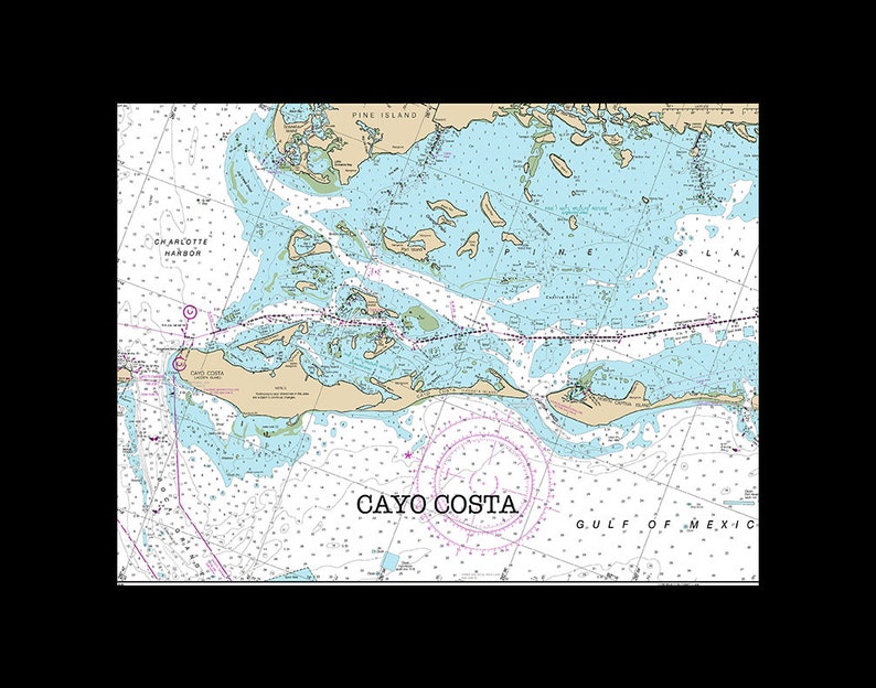 May include: A nautical chart of Cayo Costa, Florida, showing the coastline, islands, and waterways. The chart is in blue, green, and brown tones, with red and purple markings. The text "CAYO COSTA" is printed in large, bold letters at the bottom center of the chart.