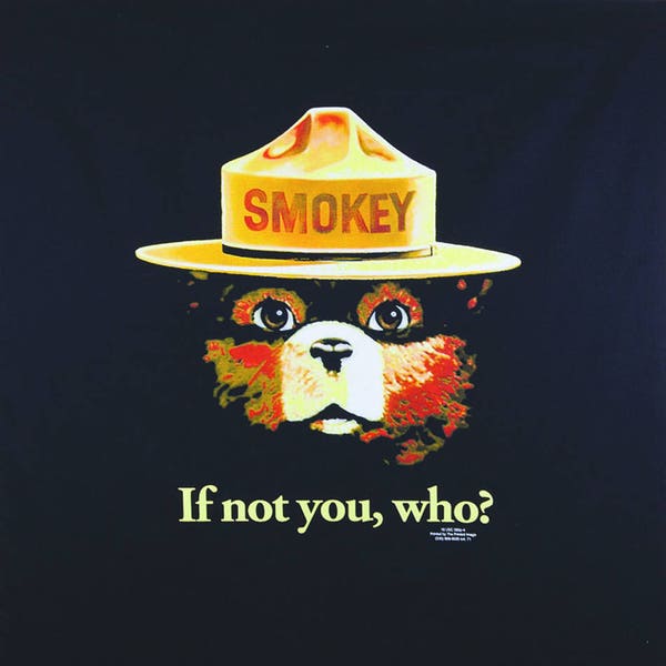 Store Closing Sale! BANDANA - Smokey Bear Bandanna. Cotton. Black Background. If Not You, Who? Wildland Firefighting pi