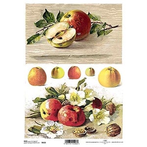 Appels, gesneden appels, kastanjes en bloemen ITD A4 Rijstpapier Moerbeipapier voor decoupage 210 x 297 mm Gratis post in VK