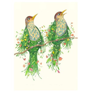 Tarjeta en blanco Two Scruffy Thrushes de 7 x 5 pulgadas con sobre Daniel Mackie