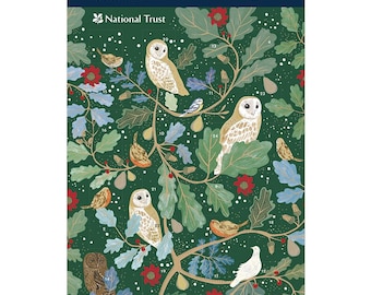 Può includere: Un calendario dell'avvento verde con il logo del National Trust e un design di gufi, uccelli e foglie. Il calendario ha 24 finestre numerate.