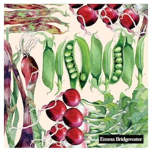 Emma Bridgewater Vegetable Garden IHR Paper Table Napkins 33 cm square 3 ply lunch napkins