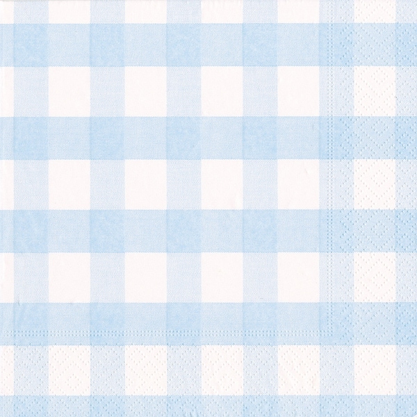 Light Blue Gingham Check Cocktail Caspari Paper Table Napkins 25 cm or 10 inches square 3 ply