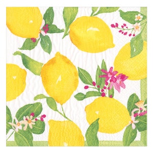 Caspari Limoncello di Catherine Weisz Tovaglioli di carta Limoni 33 cm quadrati Tovaglioli pranzo a 3 veli