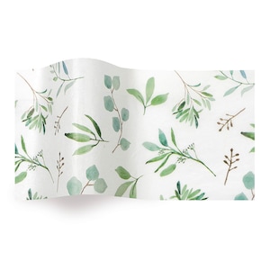 Carta da regalo velina foglie verdi eucalipto Satinwrap 5 fogli 50 x 75 cm piegati in un pacchetto