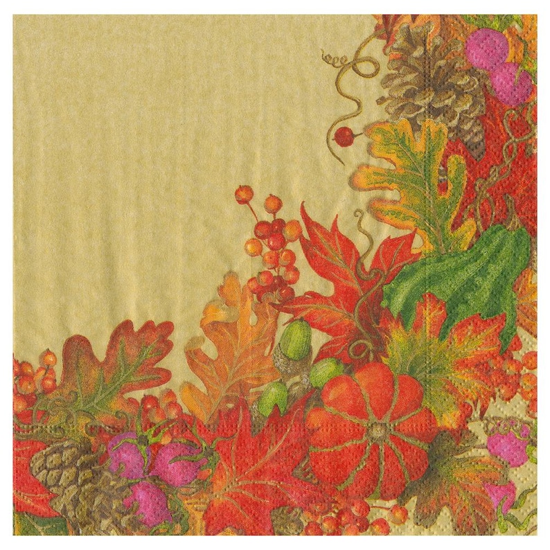 Caspari Paper Napkins