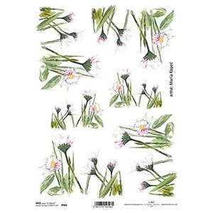 Roze/Wit Edelweiss Bloemen Rijstpapier ITD A4 Rijstpapier Mulberry Papier voor Decoupage 210 x 297 mm Gratis Post in UK