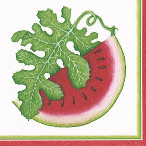 Caspari Wassermelone Picknick Papier Servietten 33 cm quadratisch 3fädig Lunch Servietten