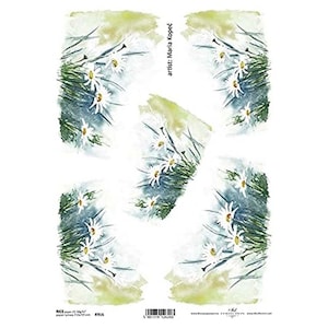Witte Margriet Bloemen ITD A4 Rijstpapier Mulberry Papier voor Decoupage 210 x 297 mm Gratis Post in UK