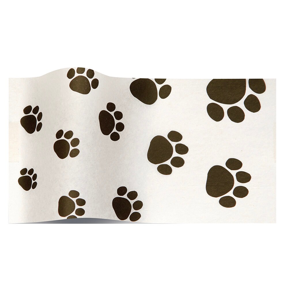 Patte Mignonne Le Noir Blanche - Image gratuite sur