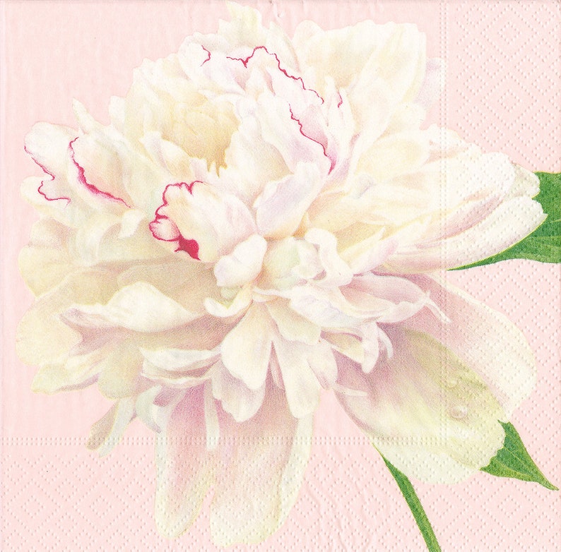 Caspari Napkins