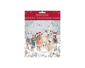 A Farmyard Christmas Medici Advent Card 160 x 160mm with envelope with envelope with Envelope and 24 little doors to open