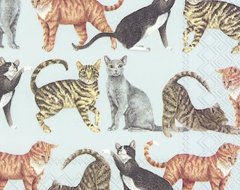 Servilletas de papel IHR Emma Bridgewater CATS azul claro, 33 cm, cuadradas, 3 capas, para almuerzo