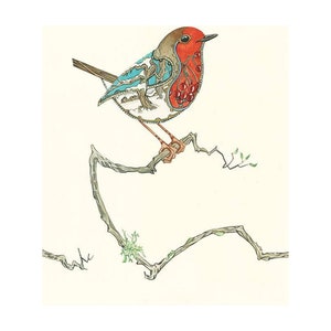 Carte vierge de Noël Robin dans les neiges oiseaux 20 x 15 cm avec enveloppe Daniel Mackie