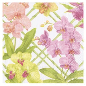 May include: A white background with a green lattice pattern and pink, yellow, and purple orchids.