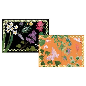 Mary Delany Flower Mosaics Newport Garden Club Notelets Caspari 8 cartões variados de dois designs com envelopes em pacote de violoncelo 4 x 6 polegadas