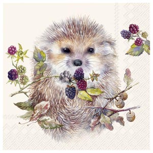Può includere: Illustrazione ad acquerello di un riccio con aculei marroni e beige, che tiene in bocca un ramo di more. L'immagine presenta foglie verdi, bacche viola e piccole ghiande, su uno sfondo color crema. Una deliziosa rappresentazione della natura.