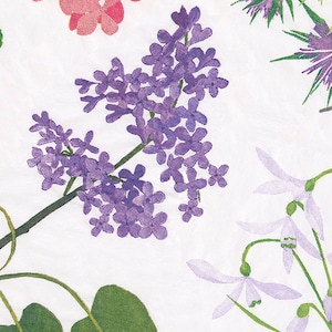 Toalhas de convidados de papel floral Caspari White Mary Delany 32 por 39 cm 15 guardanapos buffet por pacote