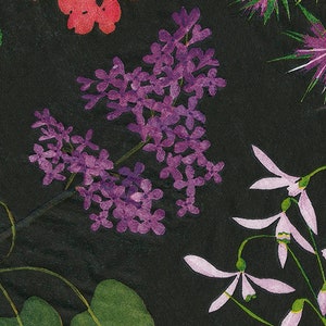 Toalhas de convidado de papel floral Caspari Black Mary Delany 32 por 39 cm 15 guardanapos buffet por pacote