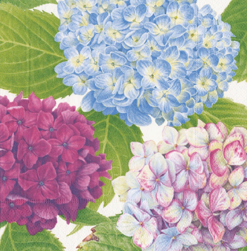 Caspari Hydrangea Garden Napkins - Thumbnail 2
