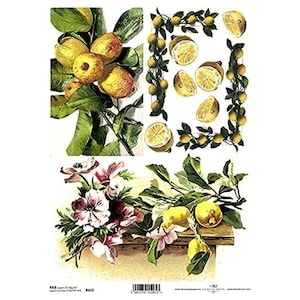 Citroenen, citroenen op takken en roze bloemen ITD A4 Rijstpapier Moerbeipapier voor decoupage 210 x 297 mm Gratis post in Groot-Brittannië