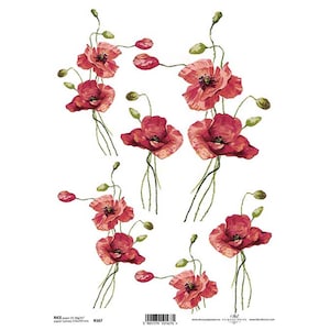 Carta di riso con fiori di papavero rosso ITD Carta di riso A4 Carta di gelso per decoupage 210 x 297 mm Posta gratuita nel Regno Unito