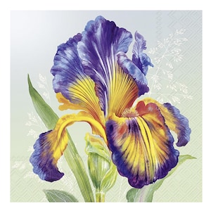 Tovaglioli di carta Iris IHR da tavola, quadrati da 33 cm, 3 veli