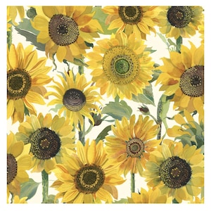 May include: A watercolour illustration featuring a pattern of sunflowers. The flowers are predominantly yellow with dark brown centres and green stems and leaves. The background is a soft off-white, creating a bright floral design.