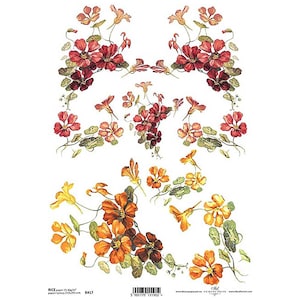 Oost-Indische kers Oranje Bloemen ITD A4 Rijstpapier Mulberry Papier voor Decoupage 210 x 297 mm Gratis Post in UK