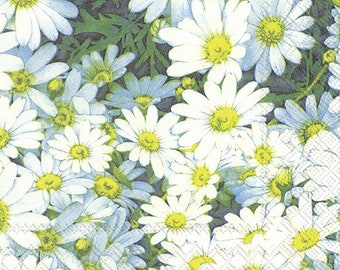 V&A Holly Papierservietten – 20 Stück, 33 Cm, 3-lagig, Bunte Blumen Auf Hellblauem Grund