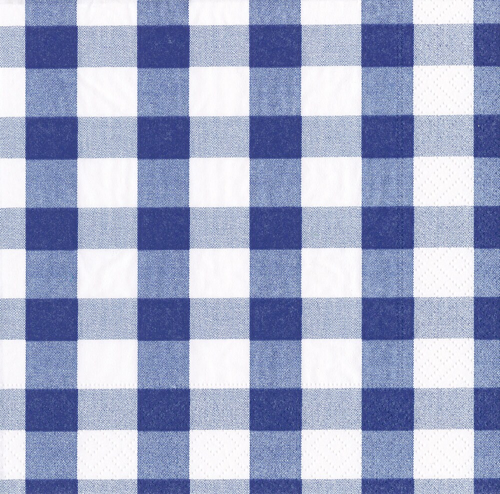 Caspari Blue Gingham Check Paper Table Napkins 33 Cm Square 3 Etsy