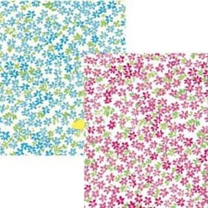 Cadernos de Borboletas e Flores Caspari 8 cartões variados de dois designs com envelopes em pacote de violoncelo 4 x 6 polegadas