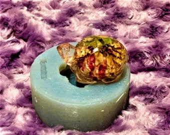 Turtle Mold/Turtle Medium Mold