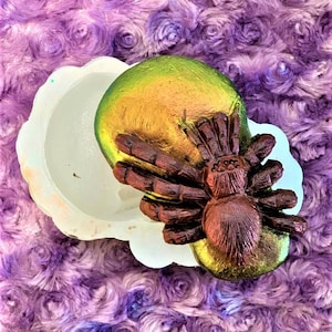 3D Spider Mold/Spider Mold/Spider on a Rock Mold/Tarantula Mold/Tarantula on a rock Mold