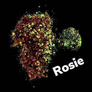 Chunky Chameleon Glitter Mix-ROSIE