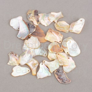 Puede incluir: Una colecci&oacute;n de 20 colgantes de concha natural iridiscente. Los colgantes son de varios tonos de blanco, marr&oacute;n y beige. Tienen una forma natural y org&aacute;nica y son perfectos para la elaboraci&oacute;n de joyas.