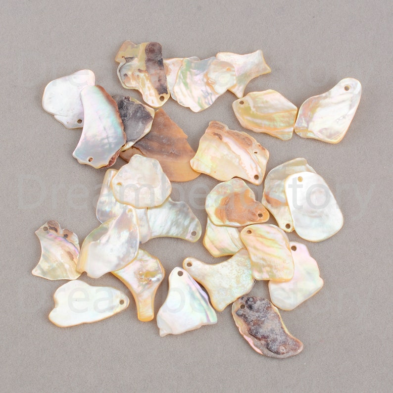 Puede incluir: Una colecci&oacute;n de 20 colgantes de concha natural iridiscente. Los colgantes son de varios tonos de blanco, marr&oacute;n y beige. Tienen una forma natural y org&aacute;nica y son perfectos para la elaboraci&oacute;n de joyas.