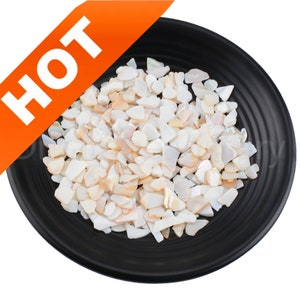 Puede incluir: Un plato negro lleno de pequeños trozos de concha blancos y color melocotón de forma irregular. La palabra "HOT" se muestra en texto blanco sobre una pancarta naranja en la esquina superior izquierda. Las conchas tienen un brillo nacarado.