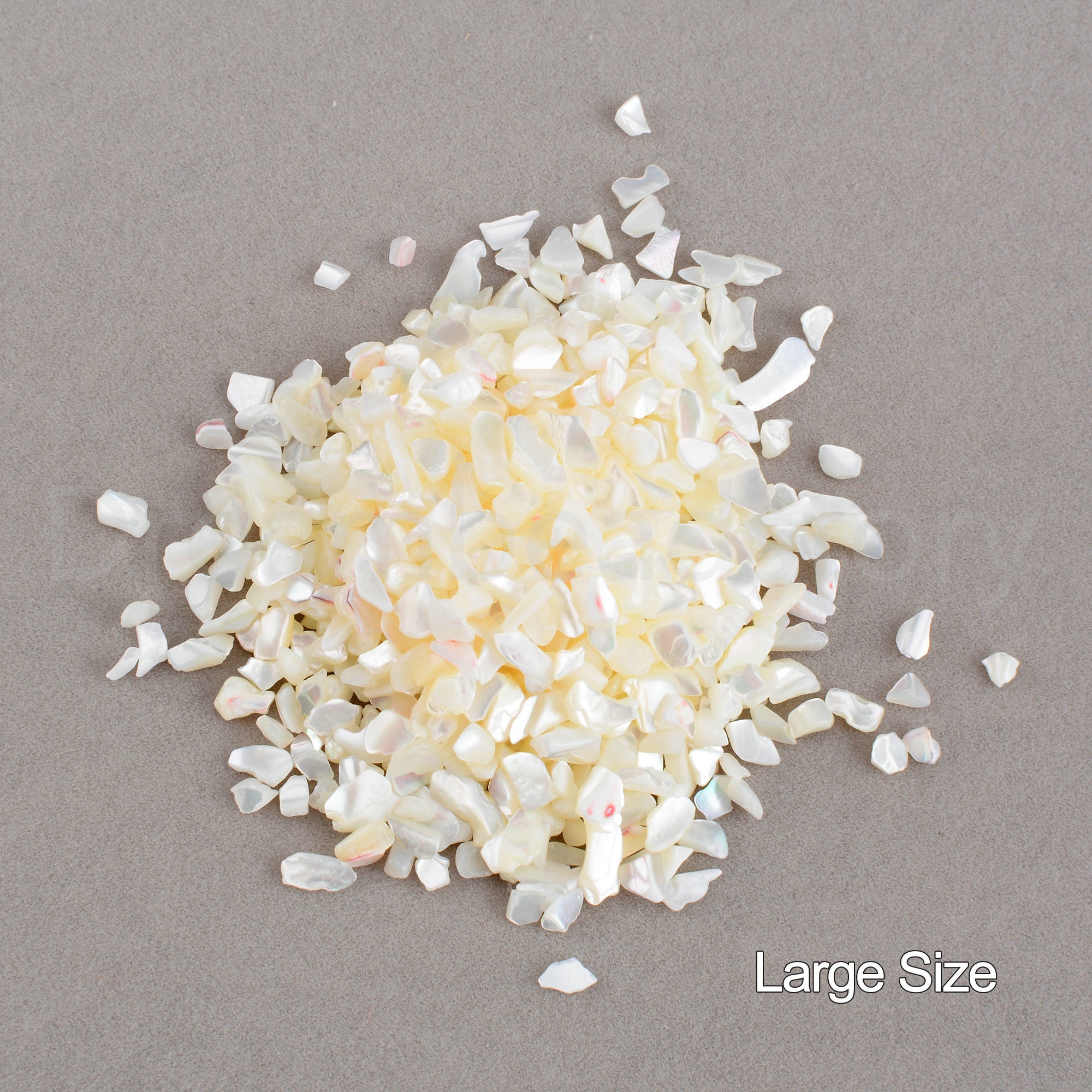 Chip Chip Shell 10-500g Natural White MOP Shell Tiny Small Undrilled Chips Flakes for ...