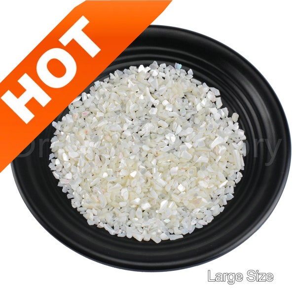 5-500g Natural White MOP Shell Tiny Small Undrilled Chips Flakes for Jewelry Making / Nail Art / Inlay Embellishment Chips en gros (3 tailles)