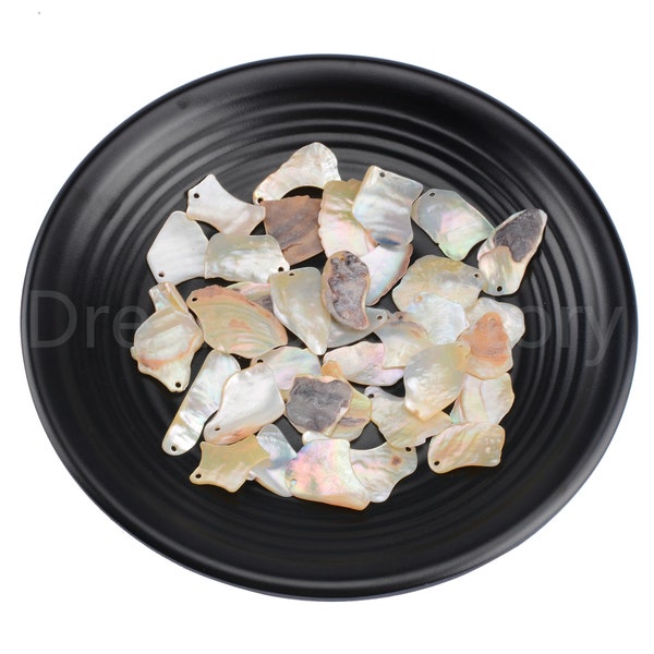 10-500 Pcs Drilled 1 Hole Genuine Natural Shell Irregular Chips for Necklace Earrings Making Supplies ( Little Large )