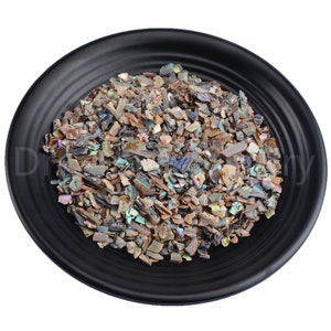 10-1000g Undrilled Natural Abalone Shell Chips for Nail Art/ Inlay Embellishment/ Life Tree/ Jewelry Making Sold by Weight (Small Chip)