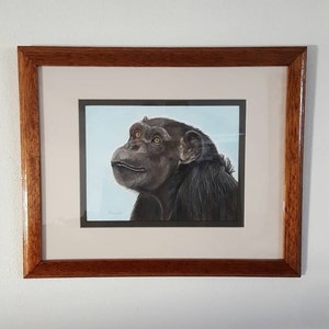 Chimpanzee Art Print, Monkey Art and Decor, Annie the Chimp Portrait Fine Art Giclee Print of an Original Pawstel image 3